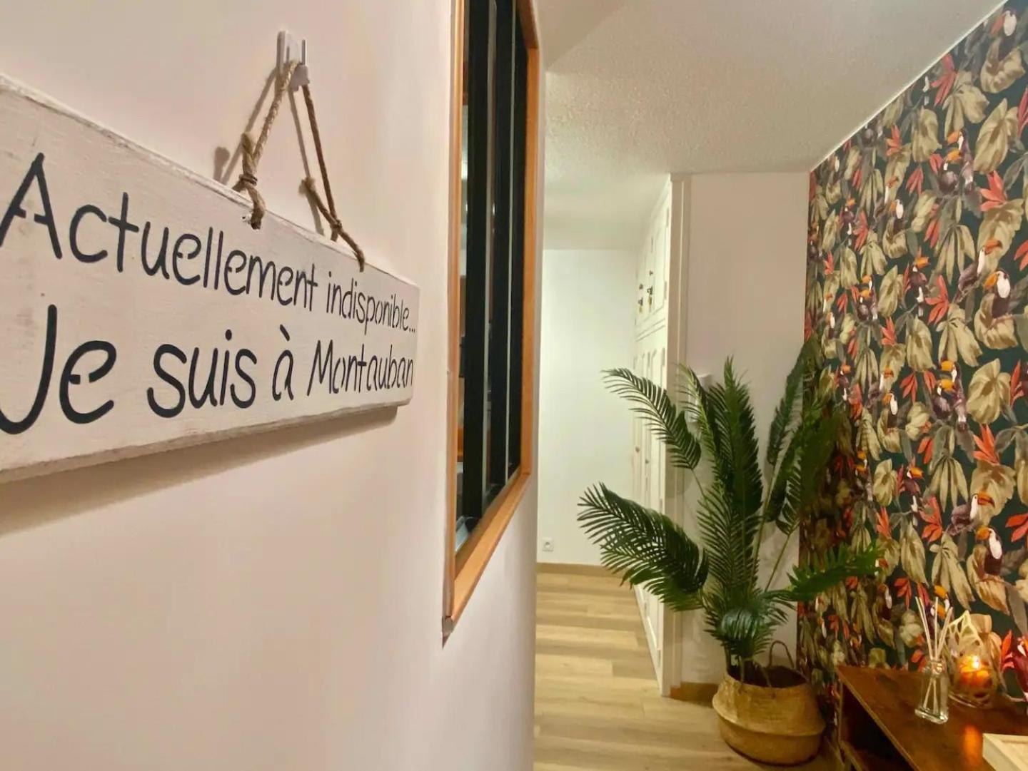 Le Point Virgule - Parking Prive - Climatisation Apartment Montauban Ngoại thất bức ảnh